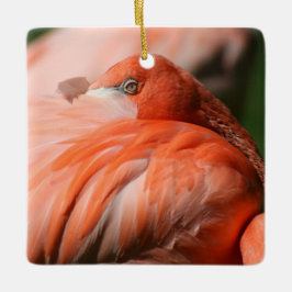 Flamingo-kvadratisk ornament