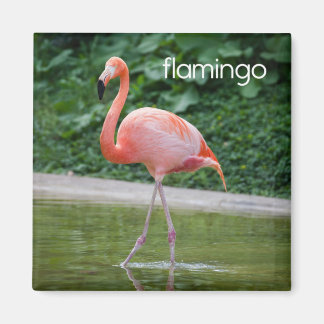 Flamingo-kylskåp, magnet