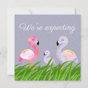 Flamingo Lila Gravid förväntas Meddelande