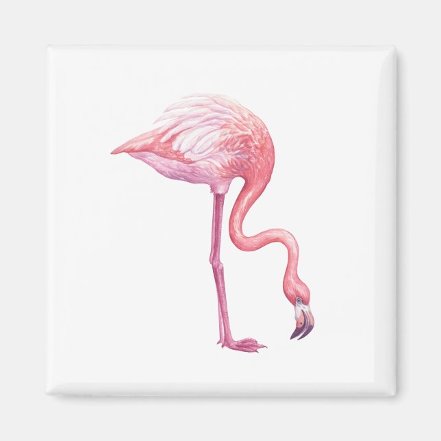 Flamingo Magnet (Framsidan)
