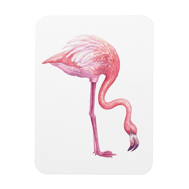 Flamingo Magnet (Vertikal)