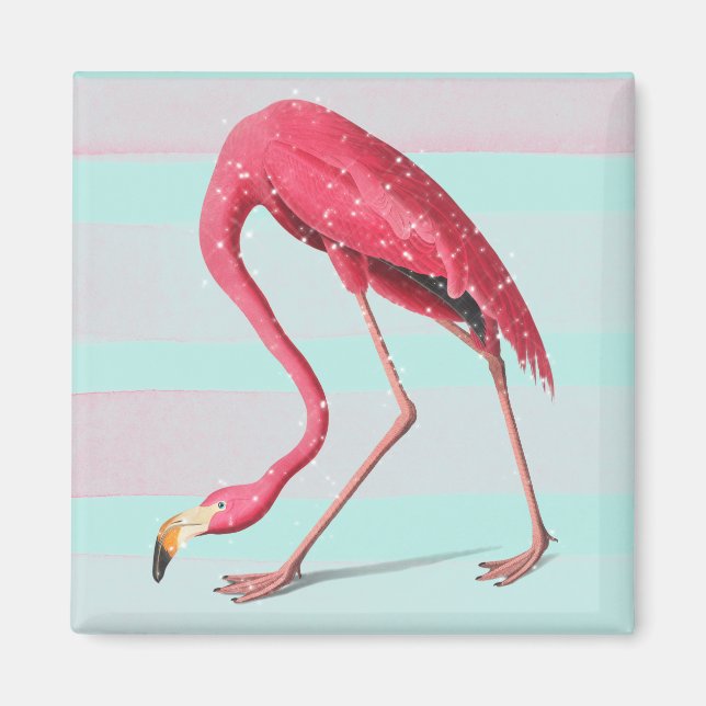 Flamingo Magnet (Framsidan)