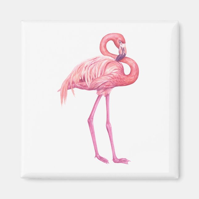 Flamingo Magnet (Framsidan)