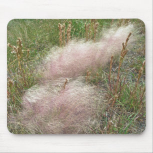 Flamingo Marsh Grass vid Shore Musmatta