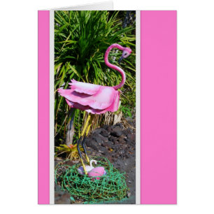 Flamingo med kapslat postlådekort hälsningskort