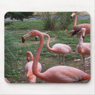 Flamingo Mousepad Musmatta