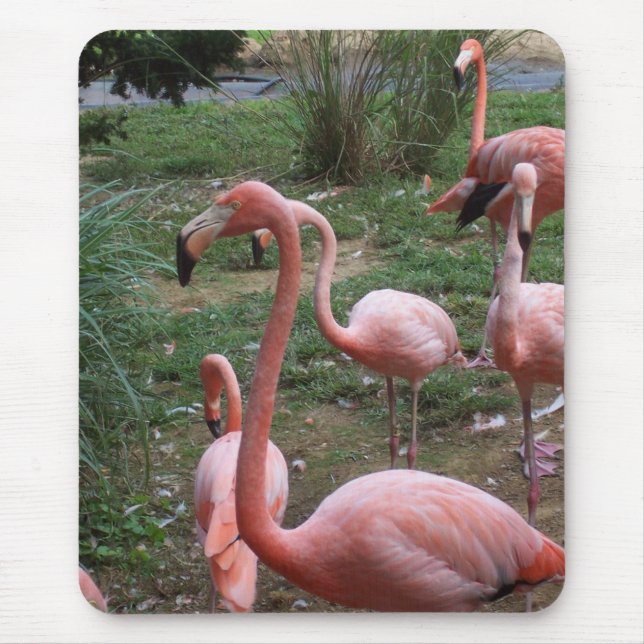 Flamingo Mousepad Musmatta (Framsidan)