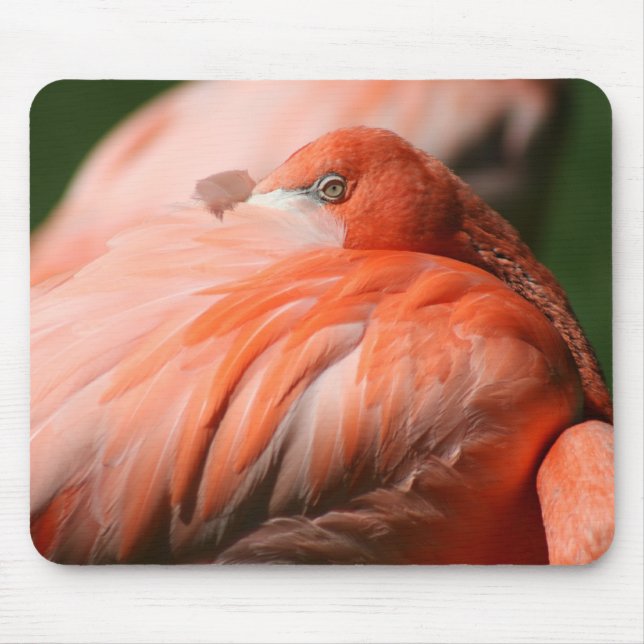 Flamingo Mousepad Musmatta (Framsidan)