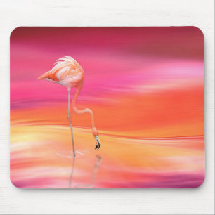 Flamingo Musmatta