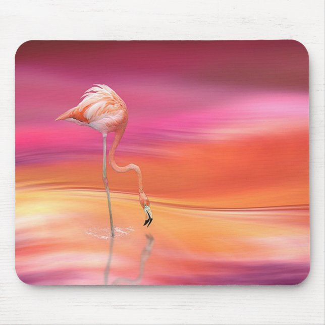 Flamingo Musmatta (Framsidan)