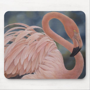 Flamingo Musmatta