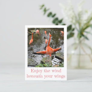 Flamingo Nationell assistent Vykort