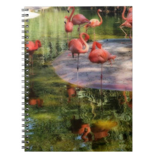 Flamingo Notebook Anteckningsbok