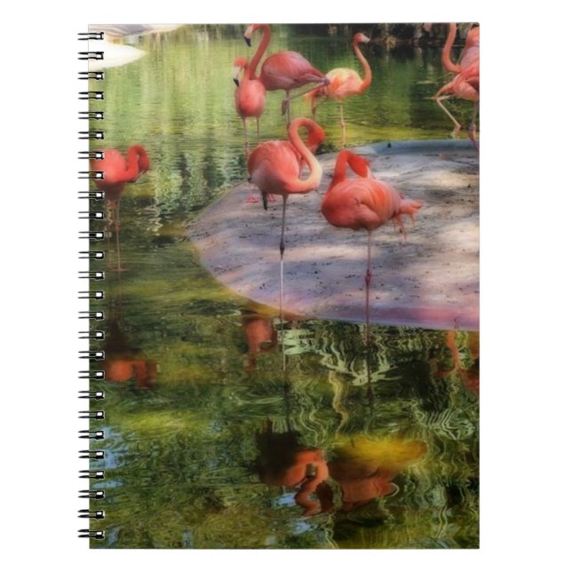 Flamingo Notebook Anteckningsbok (Framsidan)