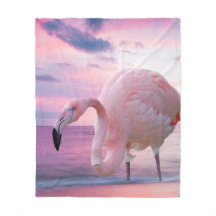 Flamingo och rosahimmel