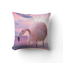 Flamingo och rosahimmel
