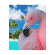 Flamingo och strand