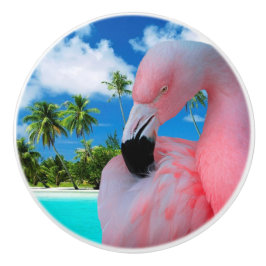 Flamingo och strand knopp