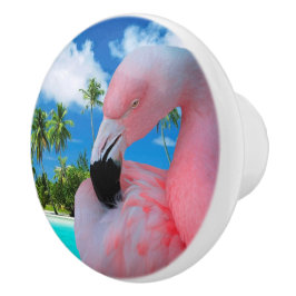 Flamingo och strand knopp