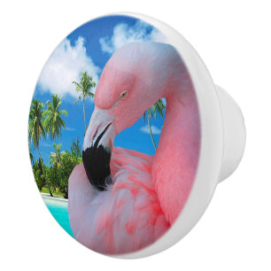 Flamingo och strand knopp