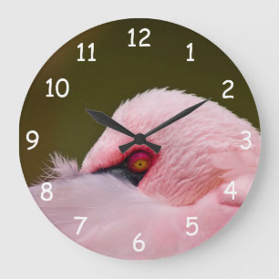Flamingo Öga Stor Klocka