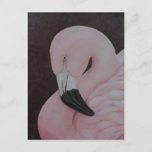 Flamingo Original Bird Art Postcard Vykort