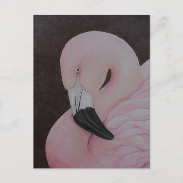 Flamingo Original Bird Art Postcard Vykort (Framsida)