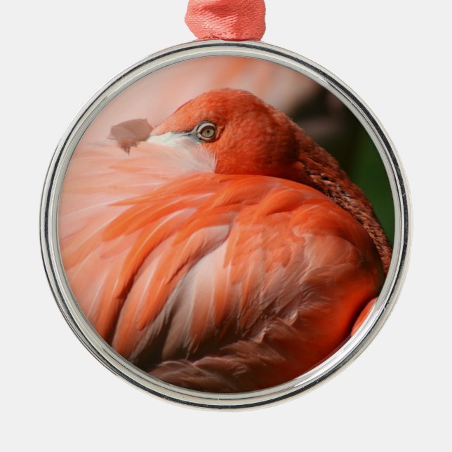 Flamingo Ornament (Framsidan)