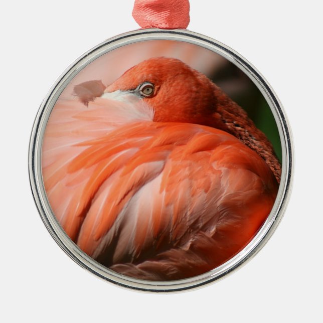 Flamingo Ornament (Framsidan)