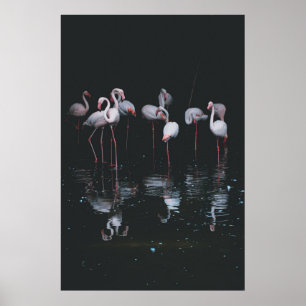 FLAMINGO PÅ BAKGRUND AV MÖRK POSTER