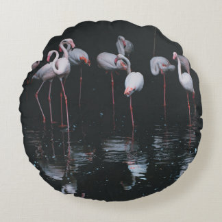 FLAMINGO PÅ BAKGRUND AV MÖRK RUND KUDDE
