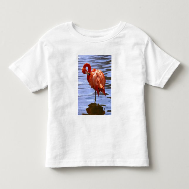 Flamingo på ett ben i vattnet tee (Framsida)