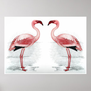 FLAMINGO PARK Flamingo Flock Fine Art Skriv ut Poster