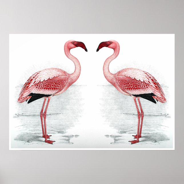 FLAMINGO PARK Flamingo Flock Fine Art Skriv ut Poster (Framsidan)