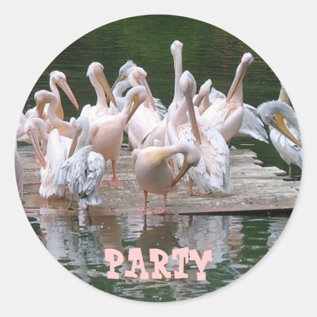 Flamingo Party Runt Klistermärke (Framsida)