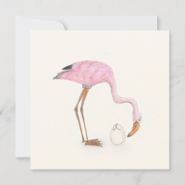 Flamingo platta kort (Framsida)