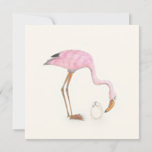 Flamingo platta kort