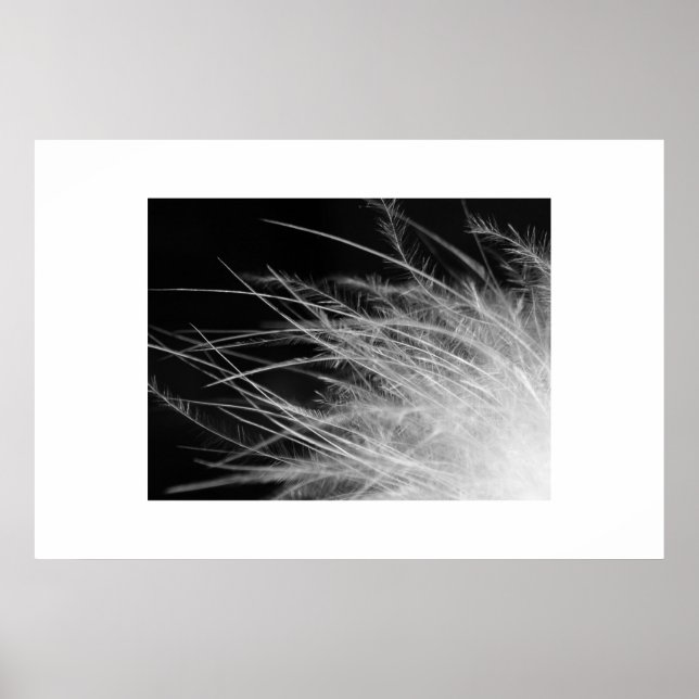 flamingo poster (Framsidan)