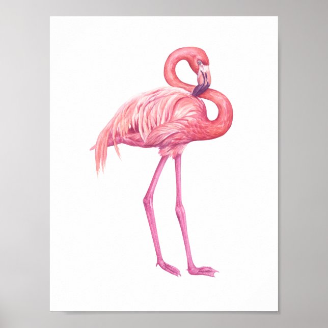 Flamingo Poster (Framsidan)
