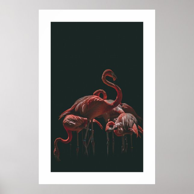 Flamingo Poster (Framsidan)
