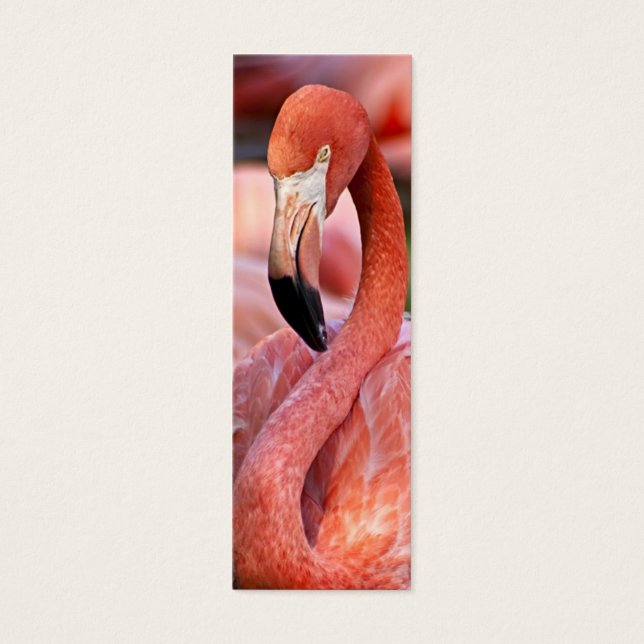 Flamingo-profilkort Litet Visitkort (Framsidan)
