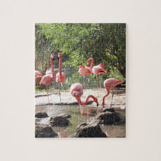 Flamingo Puzzle Pussel