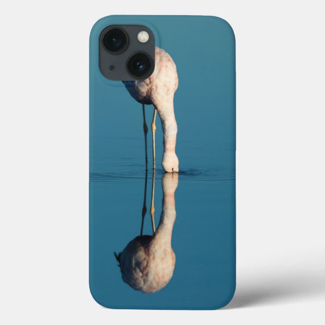 Flamingo Reflection, Laguna Chaxa, Atacama (Baksida)