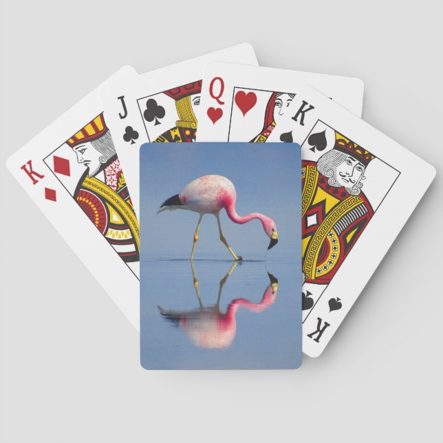 flamingo-reflektion casinokort (Baksidan)