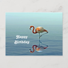Flamingo Rosa Reflection Wildlife Photo Birthday Vykort