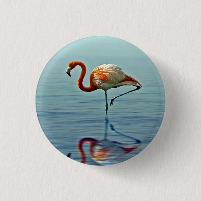 Flamingo Rosa Reflection Wildlife Photo Knapp (Framsida)