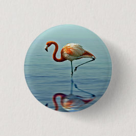 Flamingo Rosa Reflection Wildlife Photo Knapp