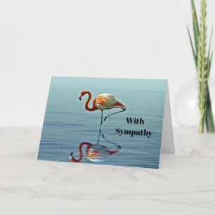Flamingo Rosa Reflection Wildlife Photo Sympathy Kort