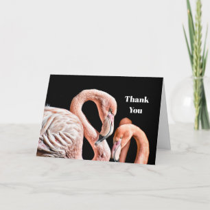 Flamingo Rosa Wildlife Photo Tack Kort