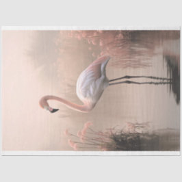 Flamingo, Rosarosa, Dimmig Sjön, Pampasgräs
